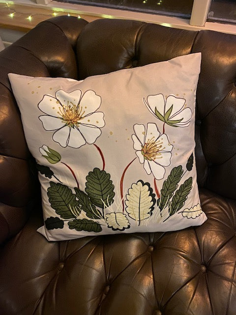 Púðaver – Holtasóley