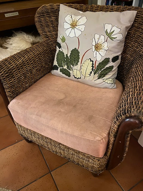 Púðaver – Holtasóley