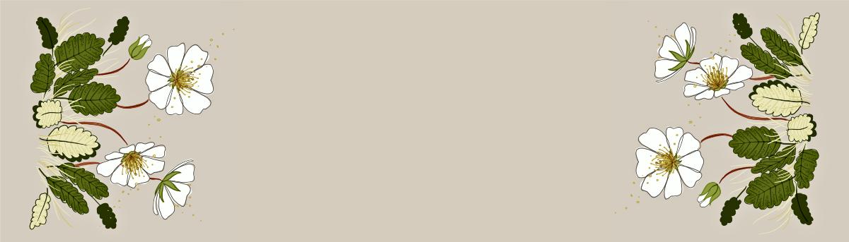 Löber – Holtasóley